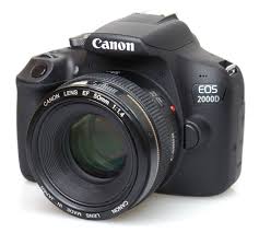 Beginners Guide To Different Types Of Digital Cameras