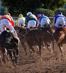 paris sur les courses de chevaux sans risque
