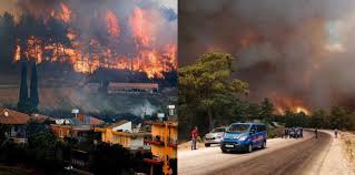 We need urgent action plans! Nu7wxx Xza6 Um