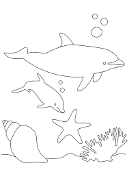 Page 15 Sur 114 Sur Hugolescargot Com Coloriage Dauphin Coloriage Dauphin Dessin