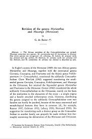 Image result for Musanga leo-errerae