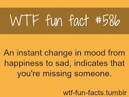 Quotes Ring Missing Someone Quotes Xanga Wtf Fun Facts Funny Facts Fun Facts
