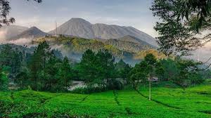 Letaknya di jalan raya puncak km 87, bukit paralayang, puncak. 17 Wisata Alam Bogor Paling Hits Yang Instagramable Dan Wajib Dikunjungi Hot Liputan6 Com