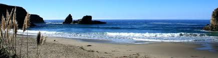 Cooks Beach - Redwood Coast Land Conservancy