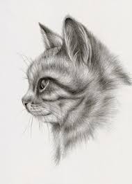 Sieh dir an, wie gut es darin ist. Hypnosis Guides Realistic Cat Drawing Realistic Animal Drawings Animal Drawings