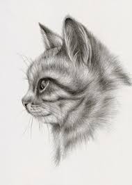 This type of paper is slightly translucent, giving you the ability to trace over your original sketches and. Hypnosis Guides Animal Drawings Realistic Cat Drawing Realistic Animal Drawings