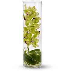 Maybe you would like to learn more about one of these? Zensational In Tucson Az Acacia Flowers Modern Flower Arrangements Flower Arrangements Cymbidium Orchid