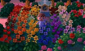 Pink Sea Jeff S Dream Suite Adventures Rainbow Flowers Rainbow Garden Animal Crossing