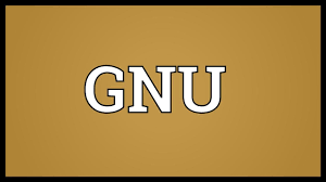 Gnu's goal is to give all computer users the freedom of copying, developing, distributing, modifying, and studying software with the understanding that its redistribution cannot be. Gnu Meaning Youtube