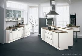 European Kitchen Cabinets Pictures And Design Ideas White Modern Kitchen Modern White Kitchen Cabinets Modern White Kitchen Island