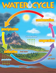 water cycle learning chart