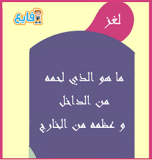 دلك Ananiver لايمكن الرؤية لحمه من الخارج وعظمه من الداخل Artculturedroiteval Com