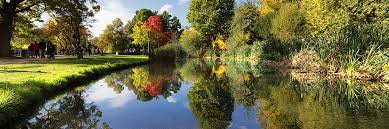 Did you know trees in the vondelpark never grow older than 70 years? Vondelpark The Largest Park In Amsterdam