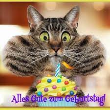 Ein bild mit lustigen motiven zum geburtstag und einen schönen spruch ist besonders geeignet, um kindern zum geburtstag zu gratulieren. Lustige Tiere Bilder Auf Memesbams Com Besten Witzige Tierbilder