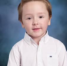 Recommendations for yard maintenance in Pisgah Forest