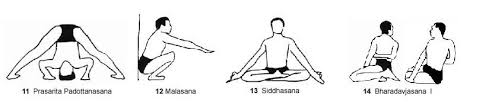 Iyengar Yoga Centre Bks Iyengar Yoga Certified Teachers Iyengar Yoga Iyengar Light On Yoga