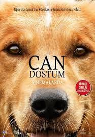Izlefilmfullhd Com Nbspthis Website Is For Sale Nbspizlefilmfullhd Resources And Information Britt Robertson Macera Film