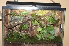 Pin On Vivariums Etc