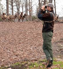 Department of education department of elections department of emergency management department of environmental quality department of fire programs department of forensic science department of forestry department of game and inland fisheries department of. Bellwood Elk Get A Visit From The Virginia Department Of Game And Inland Fisheries Defense Logistics Agency News Article View