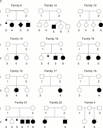 Image result for Neonatal Worksheets