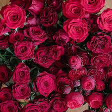 We offer beautiful bouquets, ensuring you'll find. Popular Valentine S Day Red Rose Varieties