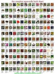 25 best spices and herbs images spices herbs spices herbs