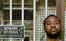 Video Editor Portfolio Examples