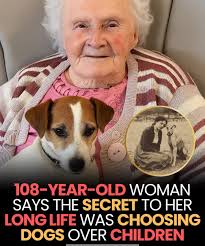 Dog waits for family at old gate