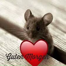 Einen Wunderschonen Sonntag Morgen Wunsche Ich Euch Allen Hier Guten Morgen Guten Morgen Lustig Lustige Guten Morgen Grusse