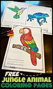 Jungle jam coloring pages author: Free Jungle Animal Coloring Pages