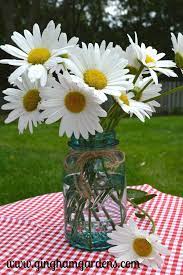 Flower Garden Eye Candy Gingham Gardens Daisy Flower Arrangements Beautiful Flowers Garden Daisy Flower