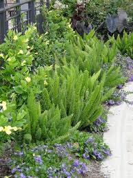 024 Garden Design Landscape Design Backyard Landscaping