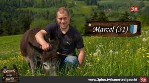 Servus leute, bauer sucht frau schweiz (bauer, ledig, sucht): Bauer Ledig Sucht Bauer Marcel 31 Sucht Facebook