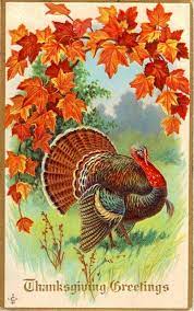 See more ideas about vintage thanksgiving, vintage thanksgiving cards, thanksgiving greetings. Vintage Thanksgiving Postcard Fotos De Accion De Gracias Tarjetas De Accion De Gracias Y Tarjetas De Epoca