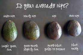 Unripe avocados will be green and firm, while ripe ones will be dark purple/black and soft to gentle pressure. How To Tell If Your Avocado Is Ripe Host The Toast