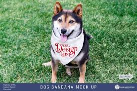 Dog Bandana Mock Up Styled Photo 300996 Household Design Bundles Dog Bandana Design Mockup Free Psd Mockup Template