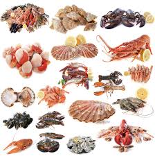 48 ricette di molluschi e frutti di mare la famiglia dei molluschi racchiude tantissime specie, molte delle quali le troviamo molto facilmente sulle tavole italiane per piatti squisiti. Cibo Del Mare Cosa Sono I Non Pesci Sale Pepe