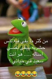 هههههههه ههههههههههههههههههههههههههههههه يخربيتهم وبيت شكلهم Funny Arabic Quotes Funny Picture Jokes Funny Comments