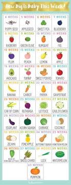 Pin On Pregnancy