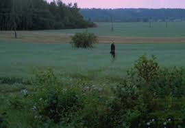 Hundratusenmiljoner Just Like Heaven Look At The Moon Cinematography