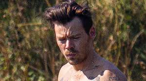 I think if I saw Harry Styles in his swim shorts I'd drown!': Twitter users  get hot under the collar after shirtless pop star shows off his six pack  and tattoos while