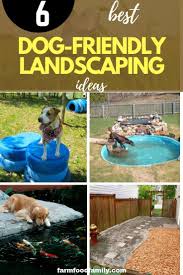 24 Great Dog Friendly Backyard Landscaping Ideas Designs For 2021 Dog Backyard Dog Friendly Backyard Dog Friends