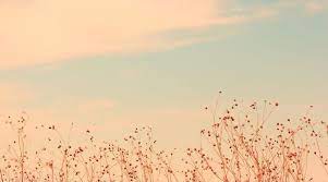 Hd wallpapers and background images. 38402138 Meadows 4k Hd Desktop Background Wallpaper Desktop Wallpaper Art Aesthetic Desktop Wallpaper Cute Desktop Wallpaper