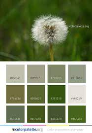 Flower Dandelion Flora Color Palette Colors Inspiration Graphics Design Inspiration Beautiful Colorpalette Palettes Idea Color Palette Color Flowers