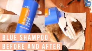 Let's hop in and find some of the best options available in the market. Fanola No Orange Blue Shampoo Before And After Youtube