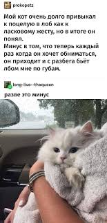 песня ла ла ла ла ла ла ла ла Pin Ot Polzovatelya A Ispir Na Doske La La La V 2020 G Veselye Memy Shutki Smeshnye Memy