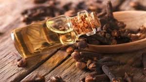 It is also useful in relieving morning sickness in pregnant women. Will Clove Oil Help In Combating Covid 19