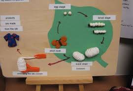 Pin By Leah Adamowicz On Homeschool Resources Silkworm Life Cycle Study Craft Worms Preschool