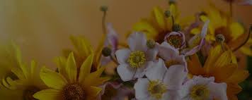 Maybe you would like to learn more about one of these? Florist North Fort Myers North Fort Myers Florist Fl