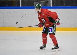 Raymond also had two goals in 10 games in the swedish hockey league playing against pros for the. Detroit Red Wings News Rumors Wjc Raymond Svechnikov More